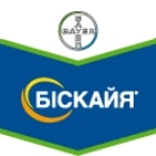 4ef4521399185