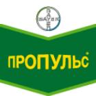 4f507d99f3d78