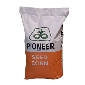 pioneer_corn89