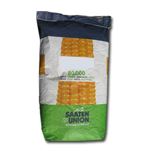 saaten65