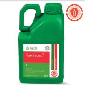 Kantaris