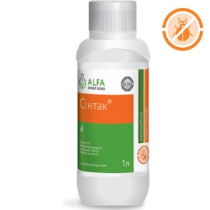 Sintak
