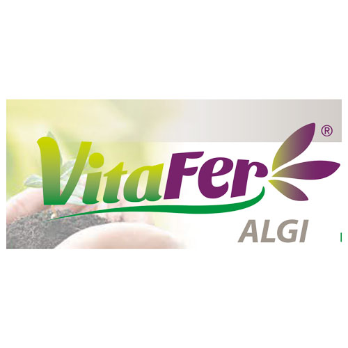 vitafer-algi